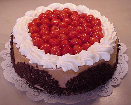  Choc Mousse Cake - Frozen Molded Category 